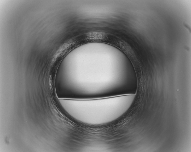 X0000103310731200808291152