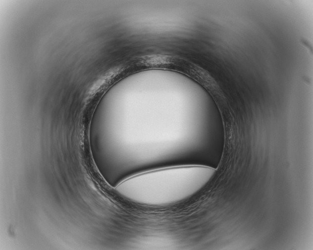 X0000103310732200808291152