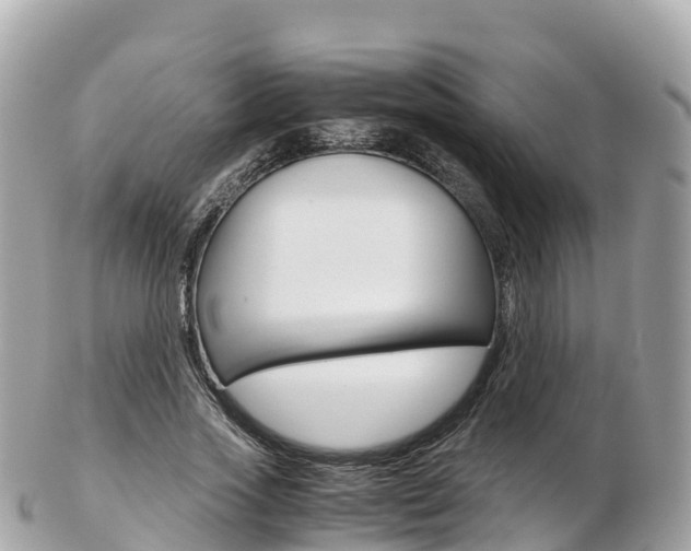X0000103310733200808291152