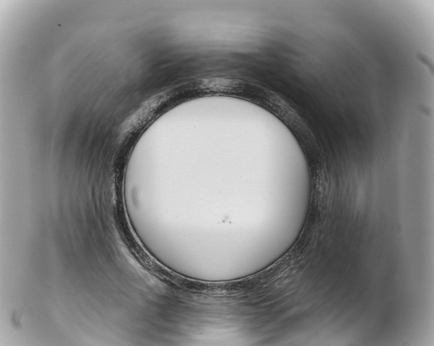 X0000103310734200808291152