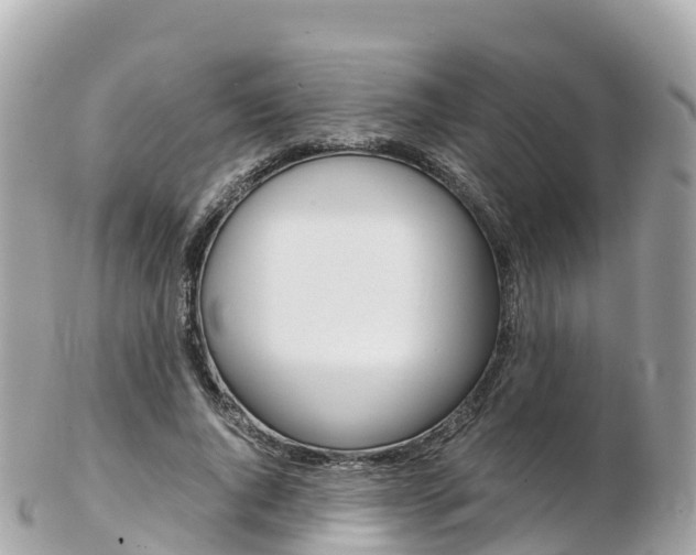 X0000103310736200808291152