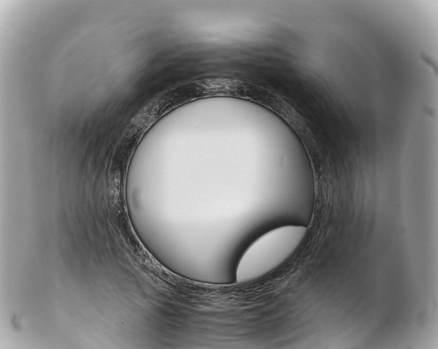 X0000103310737200808291152