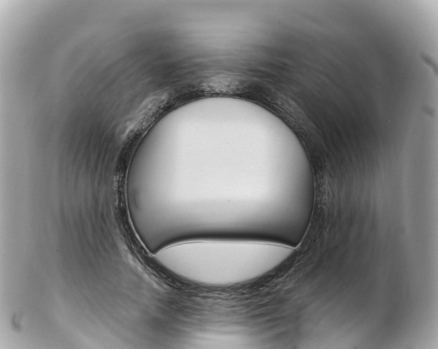 X0000103310738200808291152