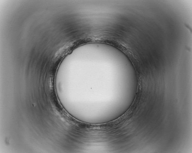 X0000103310740200808291152
