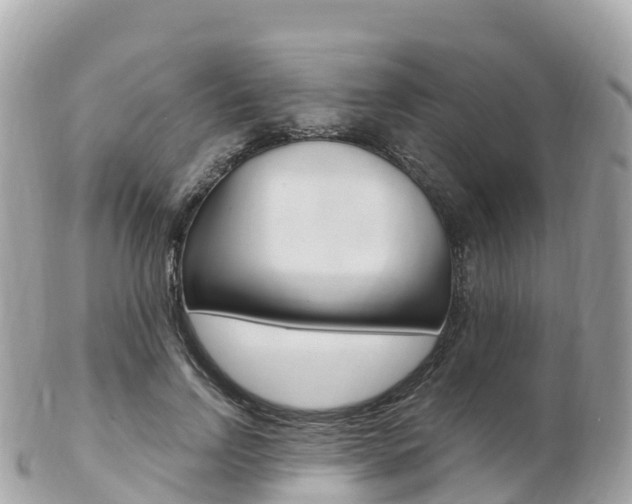 X0000103310742200808291152