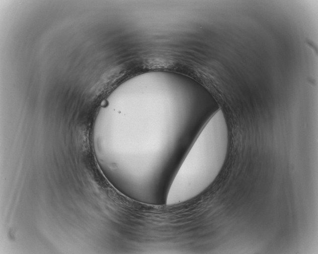 X0000103310743200808291152