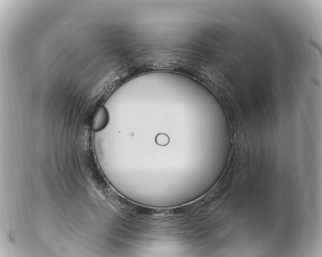 X0000103310744200808291152