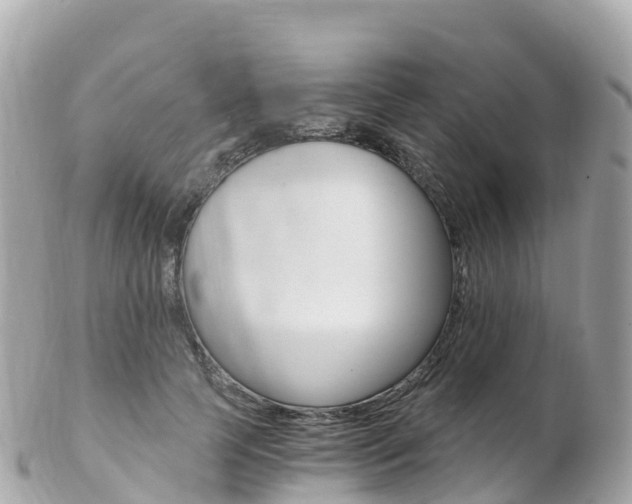 X0000103310745200808291152