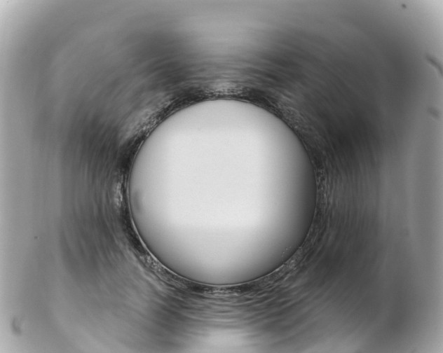 X0000103310746200808291152