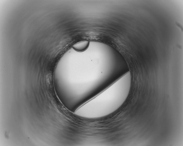 X0000103310747200808291152