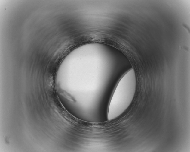 X0000103310748200808291152
