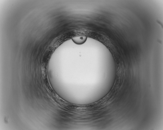X0000103310749200808291152