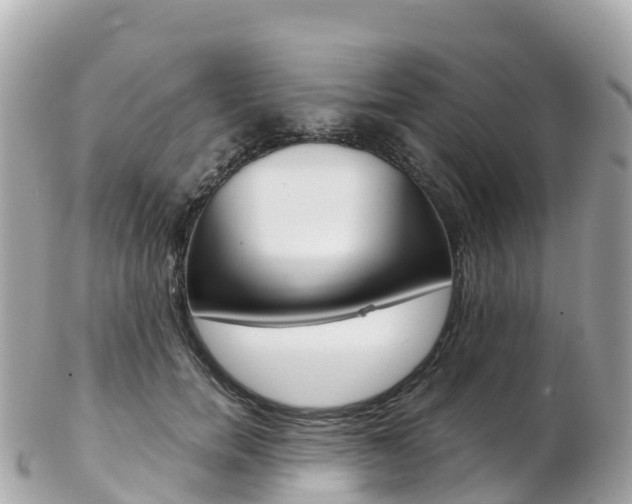 X0000103310750200808291152