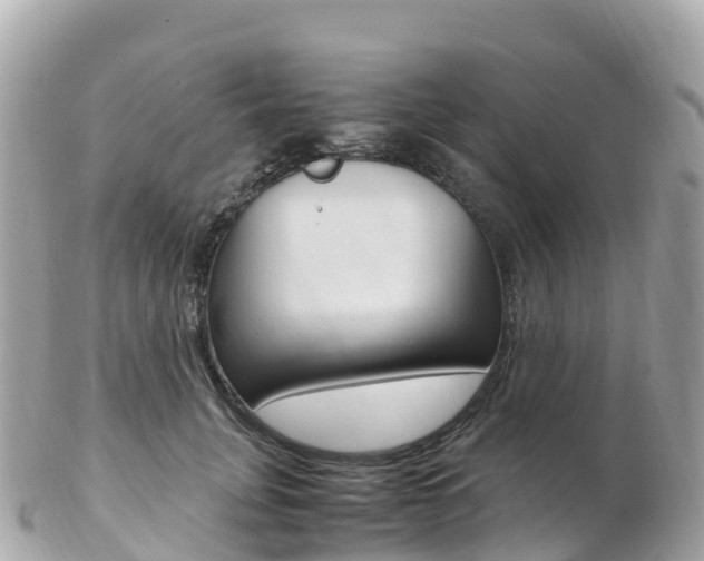 X0000103310751200808291152