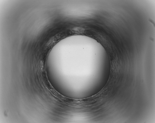 X0000103310752200808291152