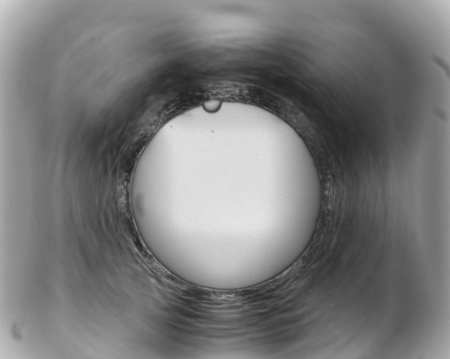 X0000103310753200808291152