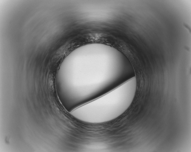 X0000103310754200808291152