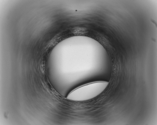 X0000103310755200808291152