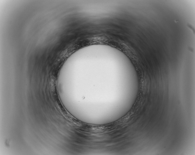 X0000103310757200808291152