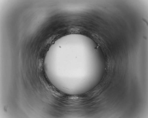 X0000103310759200808291152