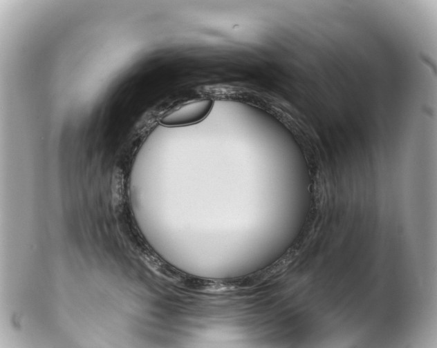 X0000103310760200808291152