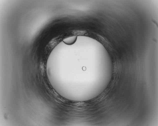 X0000103310761200808291152