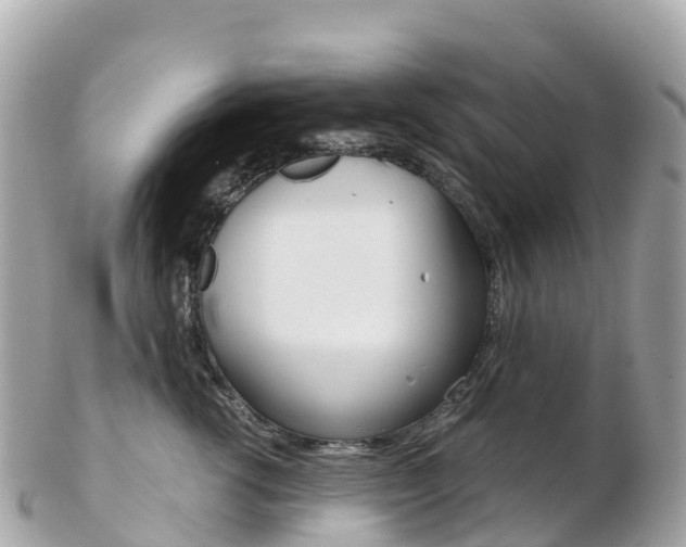 X0000103310762200808291152