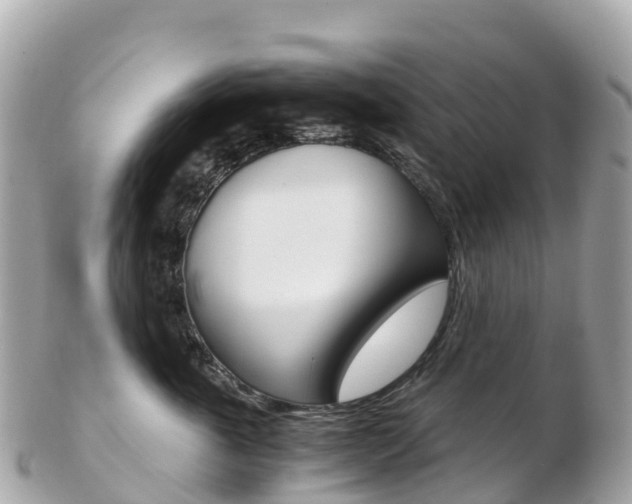 X0000103310763200808291152