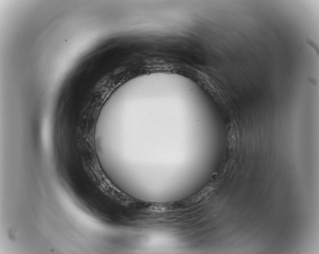 X0000103310764200808291152