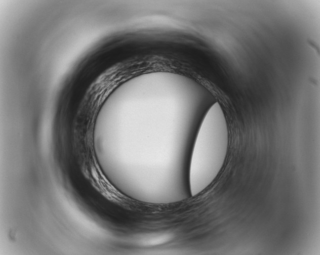 X0000103310765200808291152