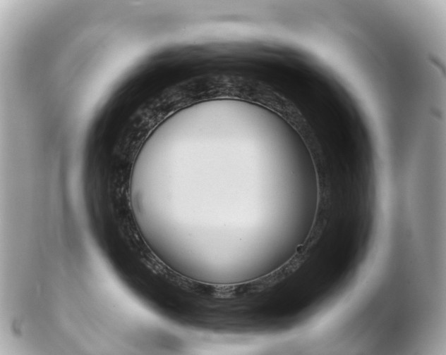 X0000103310766200808291152