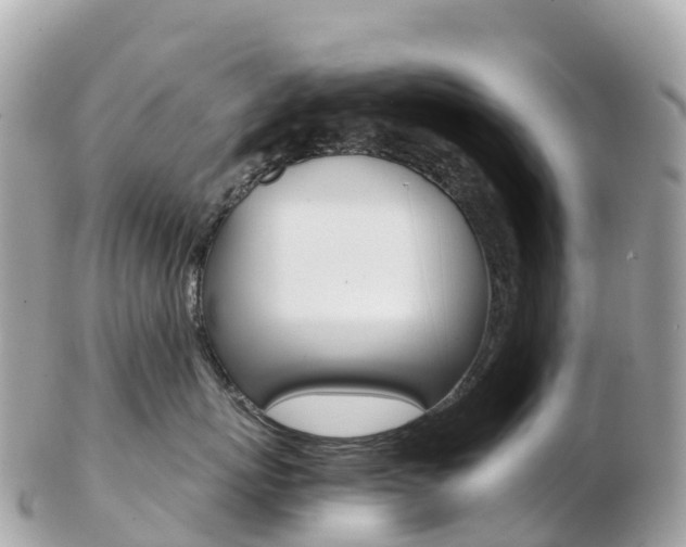 X0000103310767200808291152