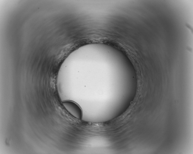 X0000103310768200808291152