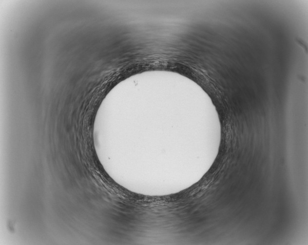 X0000103310769200808291151