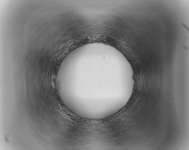 X0000103310770200808291151