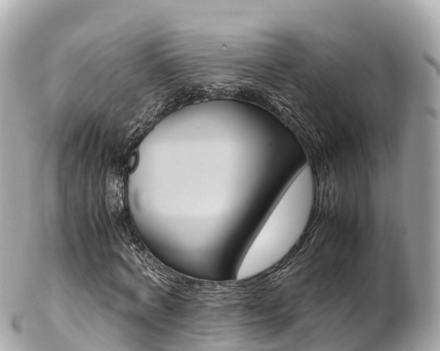 X0000103310772200808291151