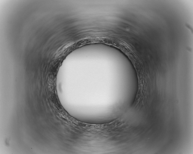X0000103310773200808291151