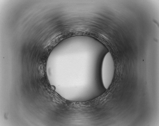 X0000103310774200808291151