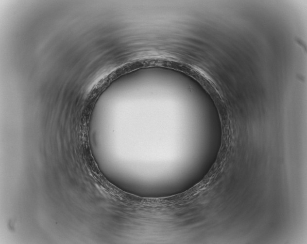 X0000103310775200808291151