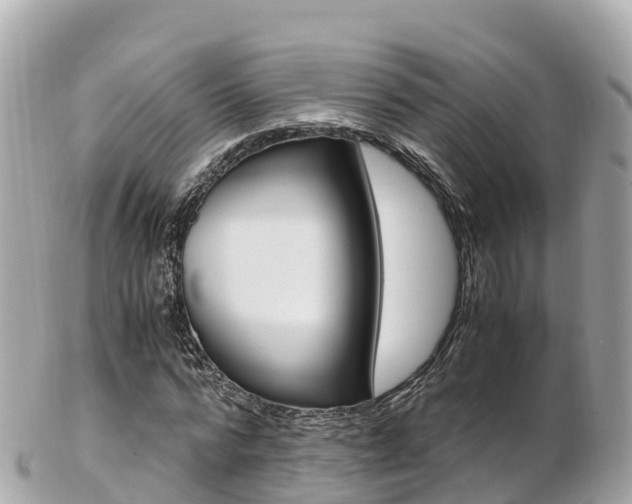 X0000103310776200808291151