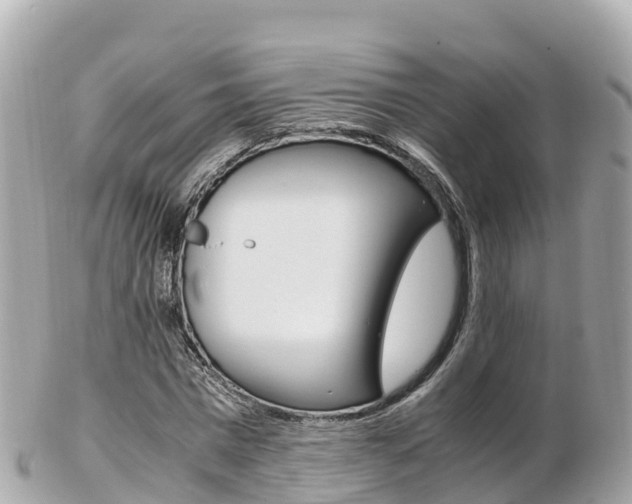 X0000103310777200808291151