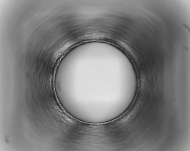 X0000103310778200808291151