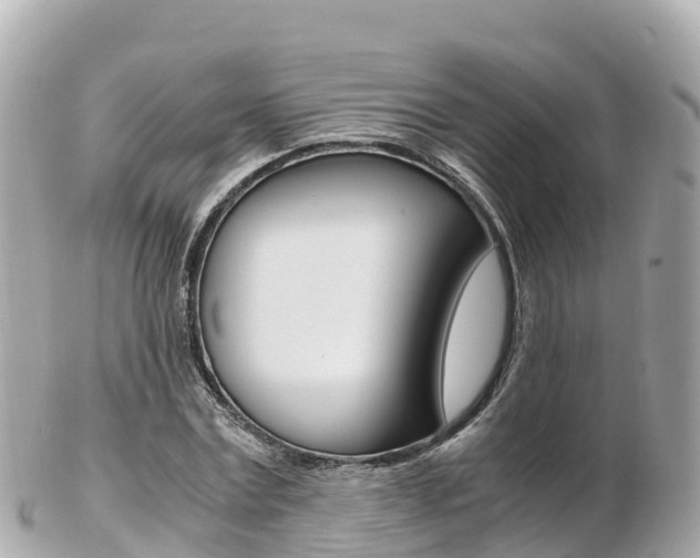 X0000103310779200808291151