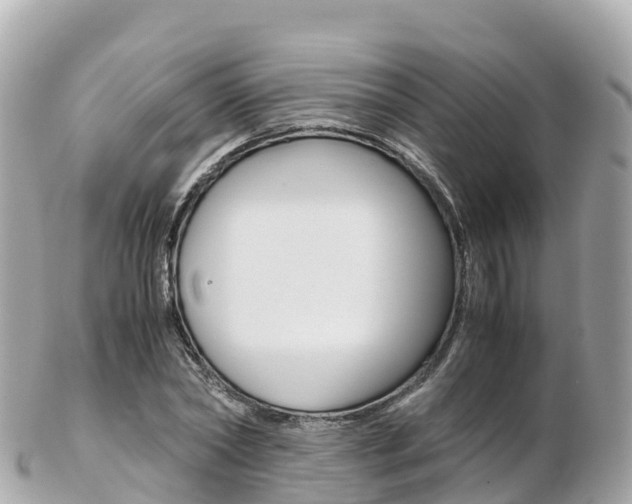 X0000103310782200808291151