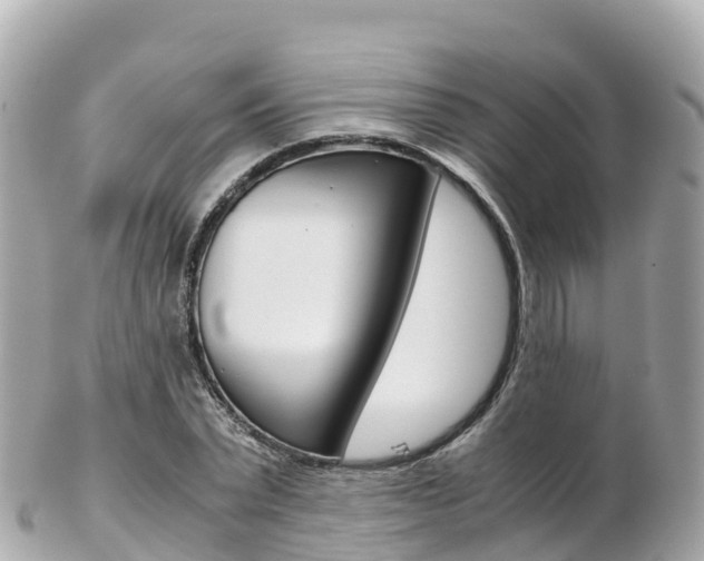 X0000103310783200808291151