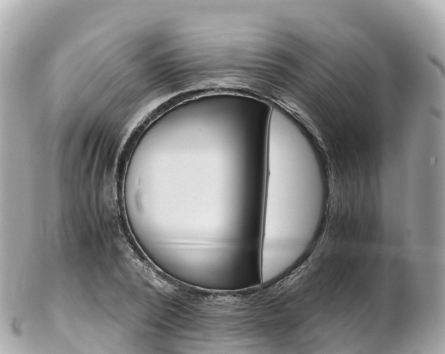 X0000103310784200808291151