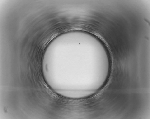 X0000103310785200808291151