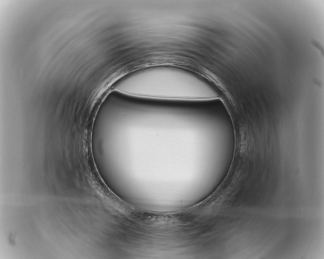 X0000103310786200808291151