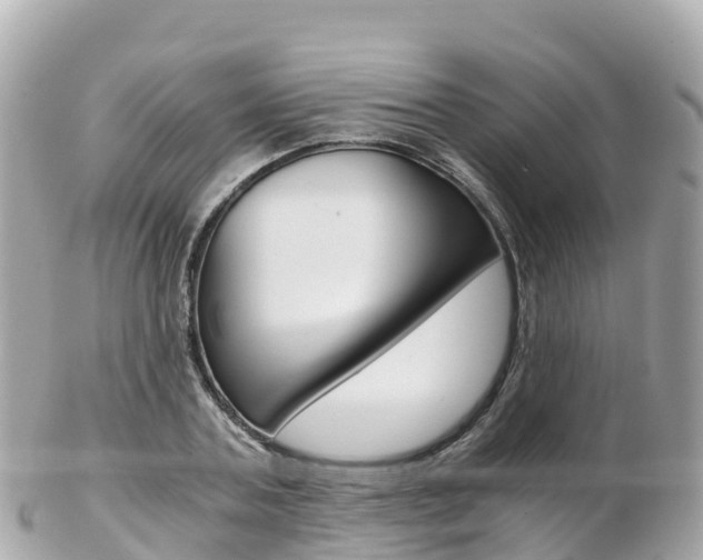 X0000103310787200808291151
