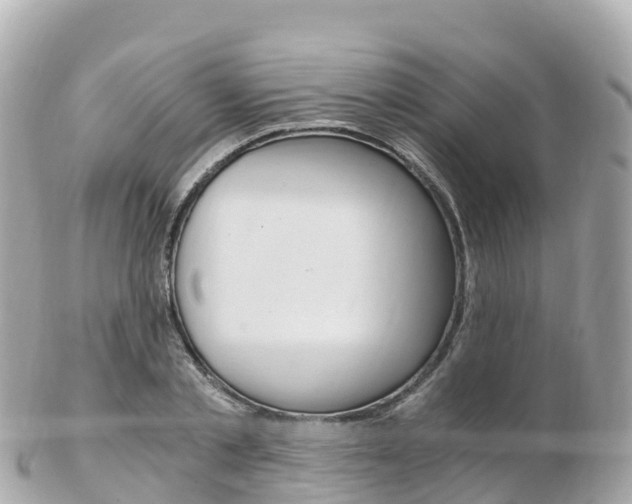 X0000103310789200808291151